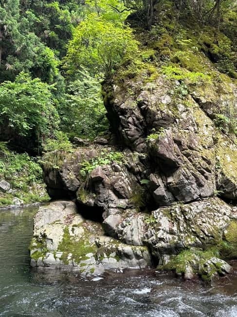 Samurai Swordsmanship and Sound Meditation in nature - Price and value for a 210-minute, small-group cultural experience
