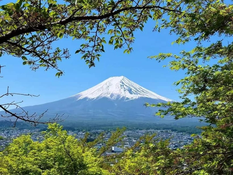 [Seasonal Limited] Mt. Fuji 5th Station &Hot Spring Day Tour - Shintaku-yama Asama Park: The Postcard Landmark Plan B