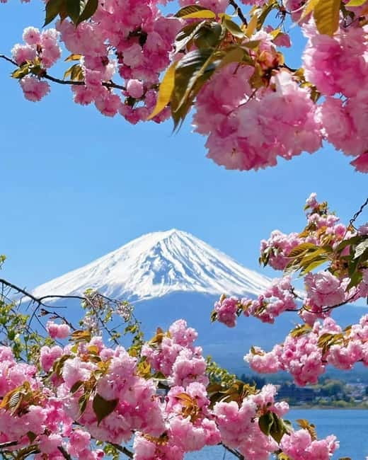 [Seasonal Limited] Mt. Fuji 5th Station &Hot Spring Day Tour - Konohananoyu Onsen: The Fuji Soak That Makes the Day Worth It