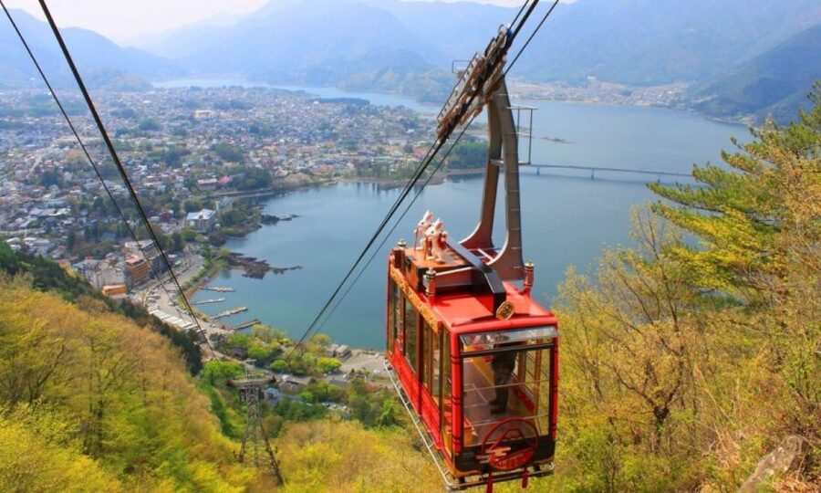 Seasonal Mt. Fuji Scenic Views, Fruit Picking and Ropeway! - Fruit Picking In Yamanashi: What You Get, And What To Expect