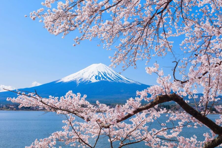 Seasonal Mt. Fuji Scenic Views, Fruit Picking and Ropeway! - Cost And Value: Is $90 A Fair Deal?