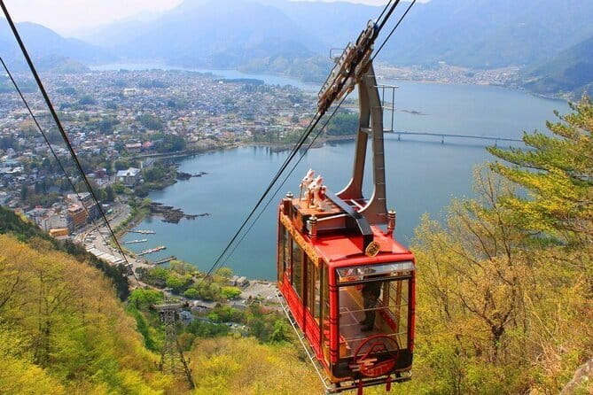Seasonal Mt. Fuji Scenic Views, Fruit Picking and Ropeway Ride! - Key points to know before you go