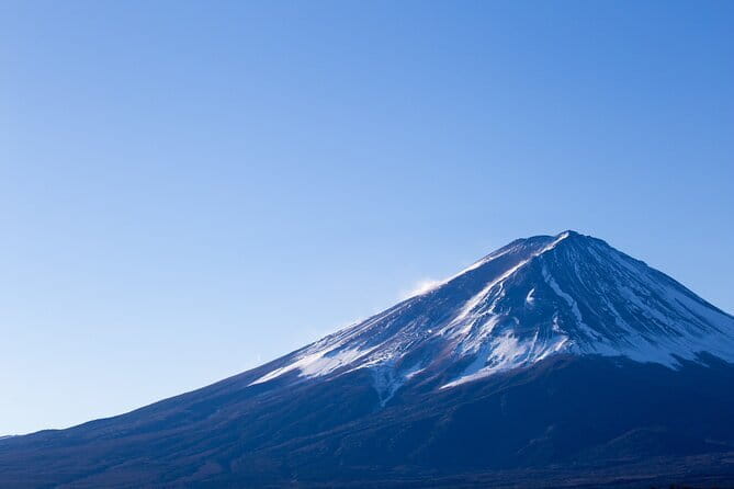 Seasonal Mt. Fuji Scenic Views, Fruit Picking and Ropeway Ride! - Shinjuku pickup, 10.5 hours on the clock, and what to pack
