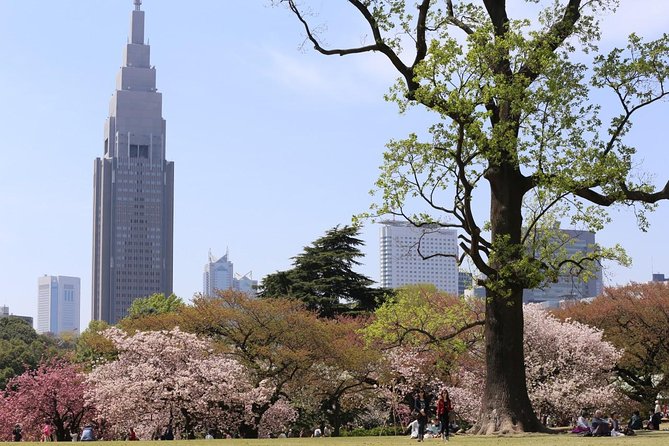 Shared Departure Transfer : Central Tokyo Hotel to Haneda Airport - Small print that can change your day