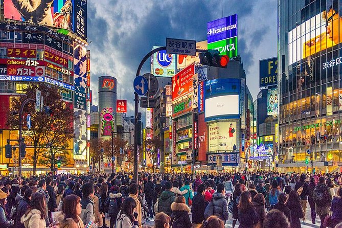 Shibuya All You Can Eat Best Food Tour The Original One in Tokyo - Price and value: is $205 fair for a 4-hour Shibuya food tour?