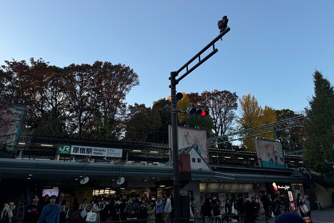 Shibuya and Harajuku Highlights Walking Tour - Why this Shibuya and Harajuku walk fits your Tokyo schedule