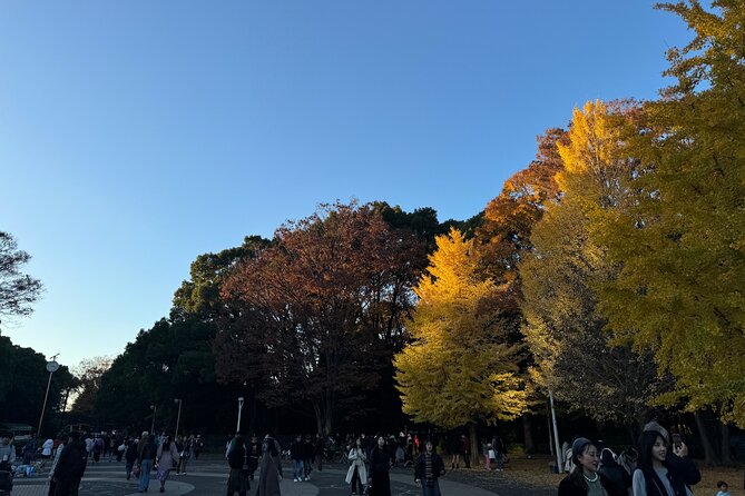 Shibuya and Harajuku Highlights Walking Tour - Yoyogi Park and the view from the walkway