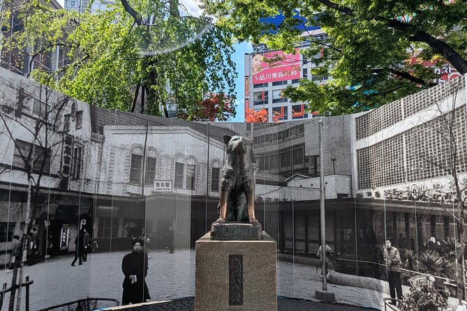 Shibuya Highlights Hachiko Scramble Meiji Jingu and Sky - Key things to know before you go