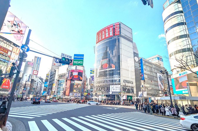 Shibuya Highlights Hachiko Scramble Meiji Jingu and Sky - Takeshita Street Pop Culture Sprint