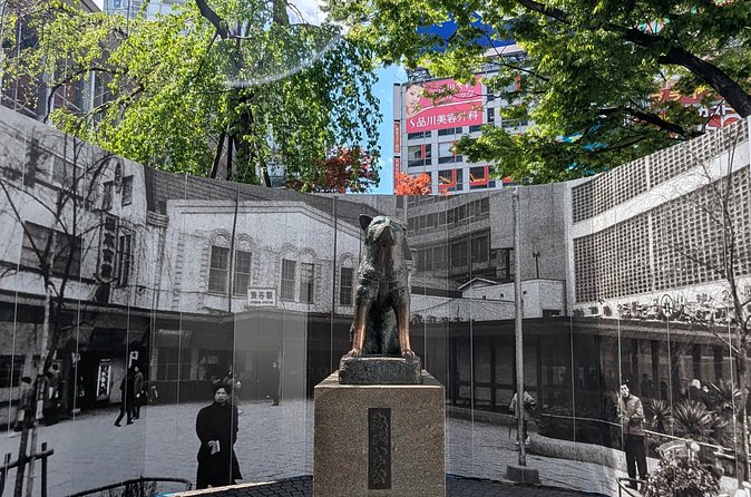 Shibuya Highlights Hachiko Scramble Meiji Jingu and Sky - Shibuya Sky at Scramble Square: The One Ticket You Must Plan For