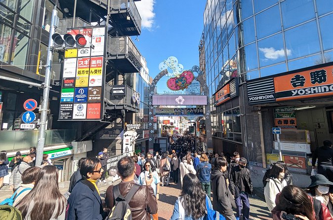 Shibuya Highlights Hachiko Scramble Meiji Jingu and Sky - Who Should Book and How to Get the Most Out of 3 Hours