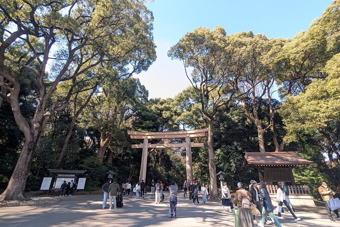 Shibuya Highlights Hachiko Scramble Meiji Jingu and Sky - Cat Street to Meiji Jingu: From Trendy Promenade to Calm Forest
