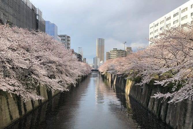 Shinjuku: Food Tour – 15 Dishes & 3 Drinks at 4 Eateries - The Food and Drinks: How the Menu Line-Up Usually Feels