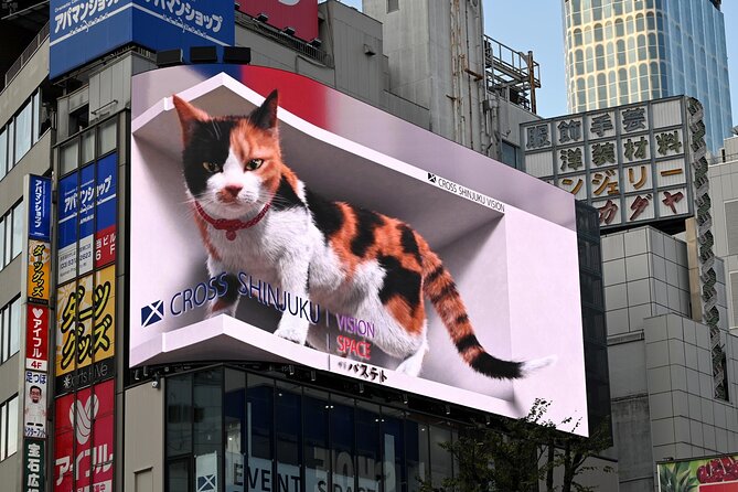 Shinjuku Highlights Walking Tour - Key Points You Should Know Before You Go