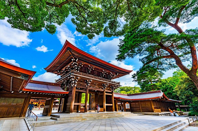 Shinto Shrine Tour: Explore Japanese Culture in Tokyo - Transportation and crowds: the practical side you will feel