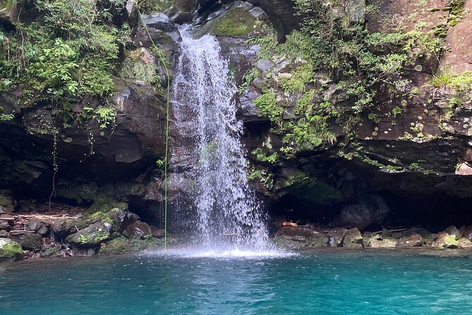 Shizuoka: Advanced Canyoning Activity near Mt. Fuji - Swimming in Wetsuits: Comfort Tips That Make a Difference