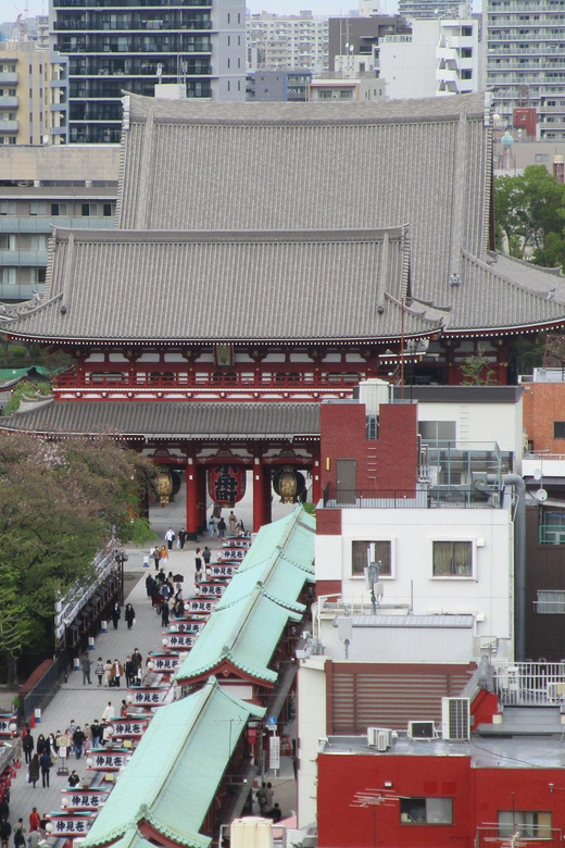 Shuttle Van Tokyo-Tour, for 4 Hours or 6 Hours+Transfer Time - Meiji Jingu and Tsukiji Outer Market in the 6-hour Version