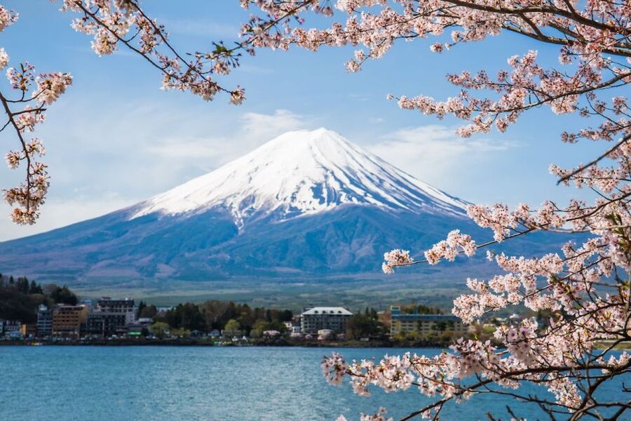 Sightseeing Day Trip to Mount Fuji and Hakone Green Number - Lake Kawaguchi: Where You First Get That Fuji Feeling