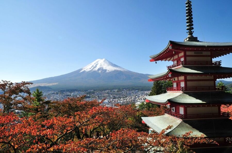 Sightseeing Day Trip to Mount Fuji and Hakone Green Number - Mt. Fuji 5th Station: The Viewpoint Everyone Plans For, and the Part That Can Change