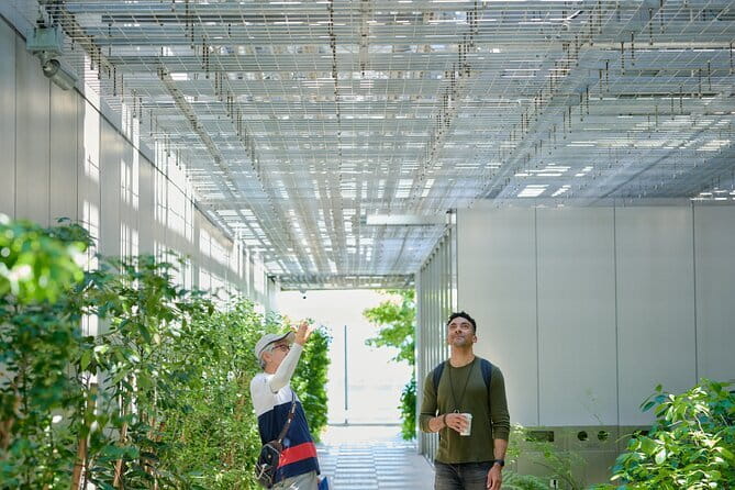 Small-Group Architecture Tour in Ginza, Tokyo - Key things I’d prioritize