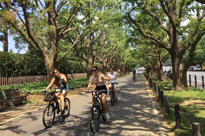 Small Group Cycling Tour in Tokyo - Stop 5: Shiodome lunch break and Tokyo Bay views