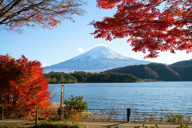 Small Group Tour Mount Fuji and Lake Kawaguchi from Tokyo - Price, value, and what you will pay for yourself