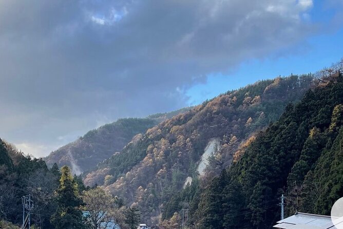 Snow Monkey Nagano Day Tour by Car English Driver in Person Guide - Stop 1: Jigokudani Snow Monkey Park, the hot-spring viewing moment