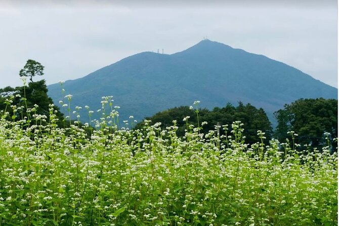 Snow Monkey Nagano Day Tour by Car English Driver in Person Guide - Stop 2: Zenko-ji Temple and the Sangoku Denrai backstory