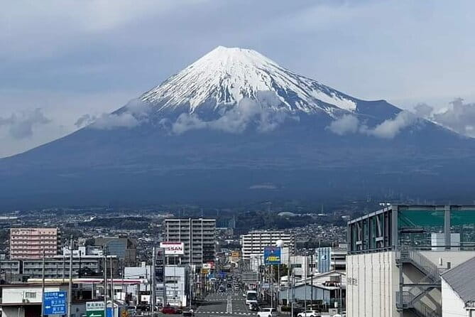Snow Monkey Park and Miso Production Tour Bullet Train from Tokyo - Value and price: what your $289.91 covers, and what it doesn’t