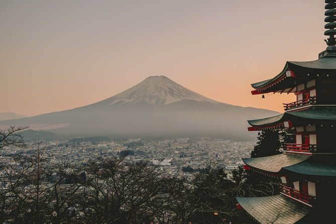 Snow monkeys from Tokyo: Full-Day Private trip with Local Guide - Tokyo to Nagano in a private car with onboard WiFi