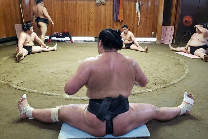 Sumo Practice Viewing Guided Tour and Photo with Sumo Wrestlers - Key highlights worth your morning time