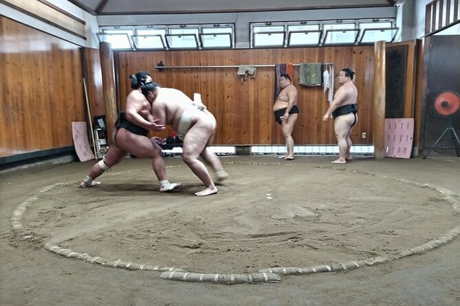 Sumo Practice Viewing Guided Tour and Photo with Sumo Wrestlers - Stop 1: The short viewing lecture before practice begins