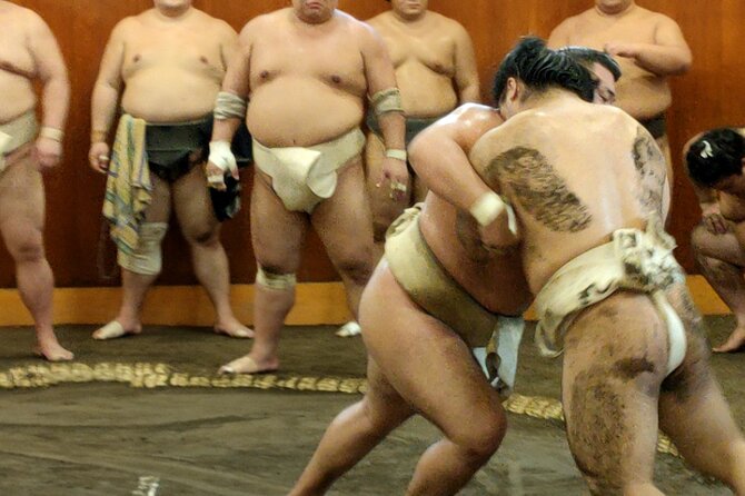 Sumo Training Watching Experience in Tokyo - Key Points Before You Go