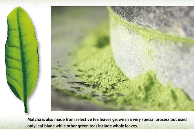 Tea Ceremony Workshop in Tokyo by the Experienced Instrucor - Hands-On Usucha Making: Thin Matcha, Thick Foam, Real Skill