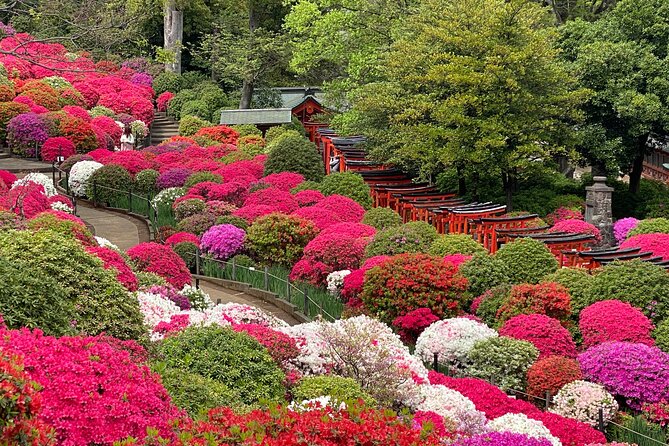 The Old Quarter of Tokyo - Yanaka Walking Tour - Yanaka Cemetery: a respectful look at customs and everyday meaning