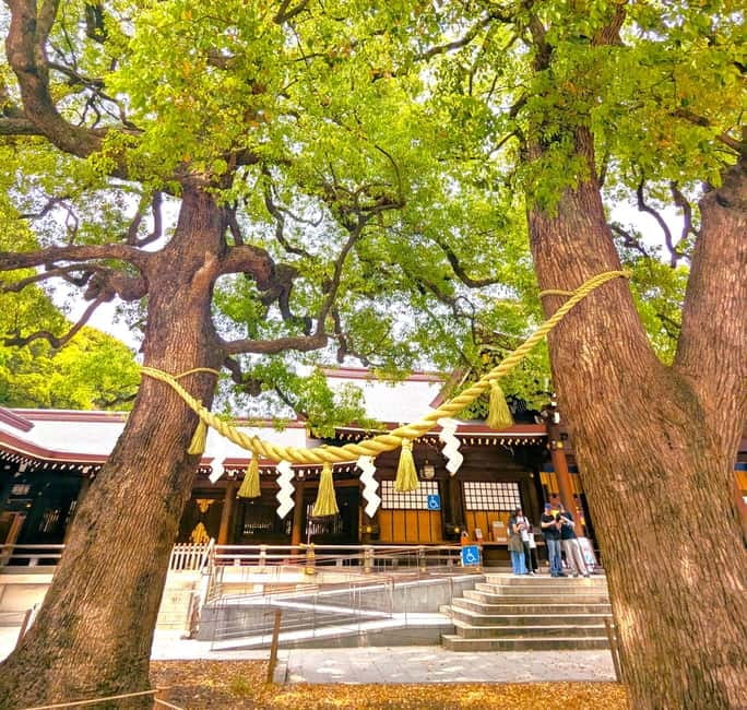 This is Real TOKYO!! SHIBUYA Tour from TGP!! - Price and Value for a 3-Hour Shibuya Private Group