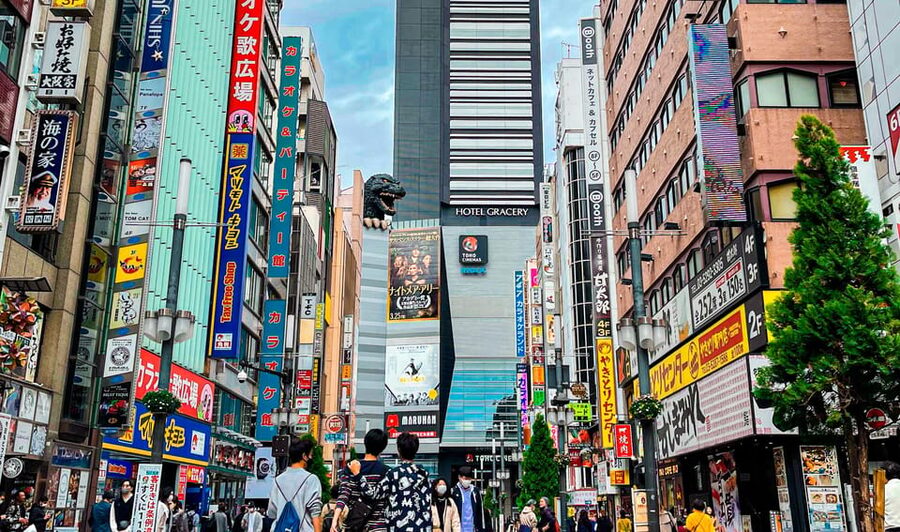 Tokio A: Tour de la ciudad en Español - Spanish - Ameyoko market: the local shopping stop