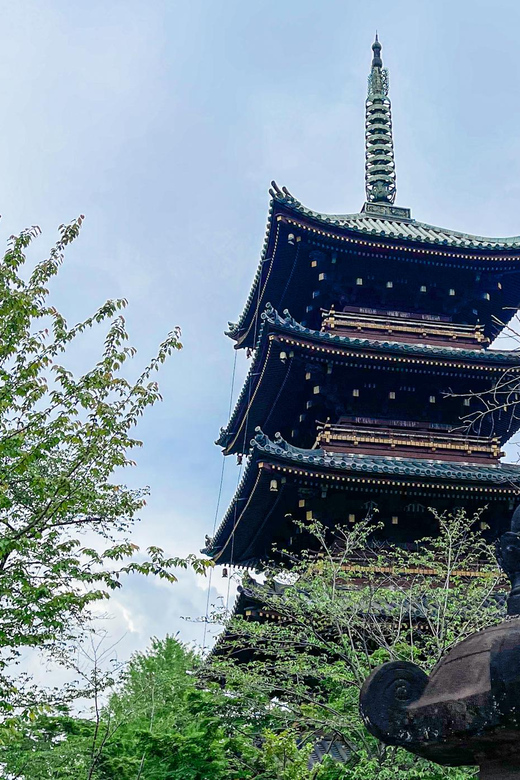 Tokio A: Tour de la ciudad en Español - Spanish - Shinjuku viewpoints, and the Ebisu backup if needed