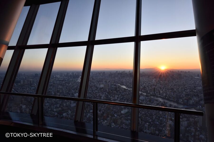 Tokyo: 1 Day Bus Tour with Meiji-Jingu,Odaiba,lunch&Skytree - Price and value: $83 that buys time, not just tickets