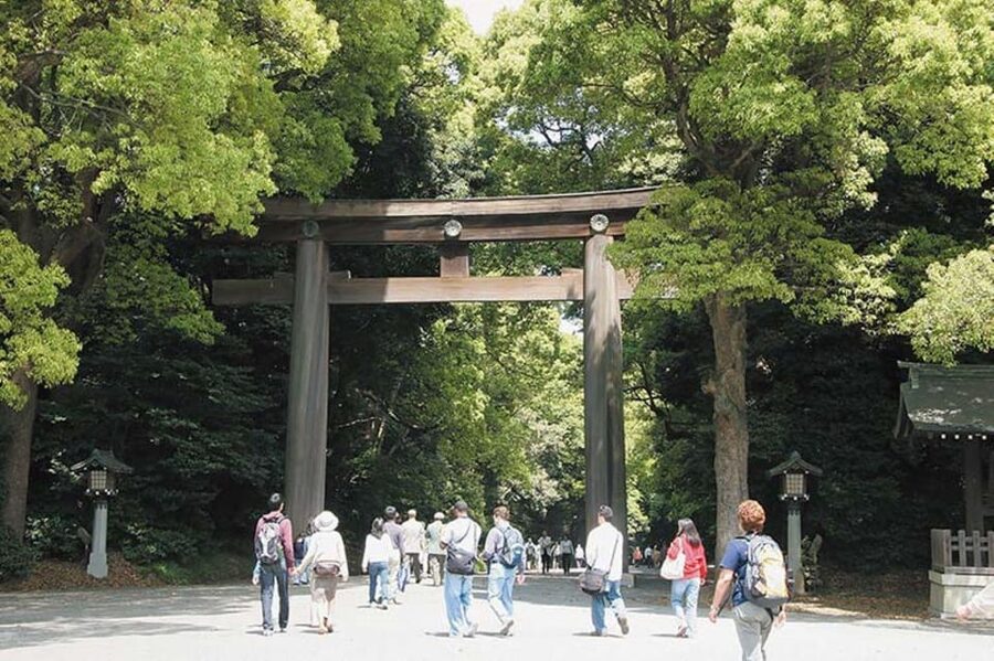 Tokyo: 1 Day Bus Tour with Meiji-Jingu,Odaiba,lunch&Skytree - Rainbow Bridge and the Odaiba shift: big views, then free time