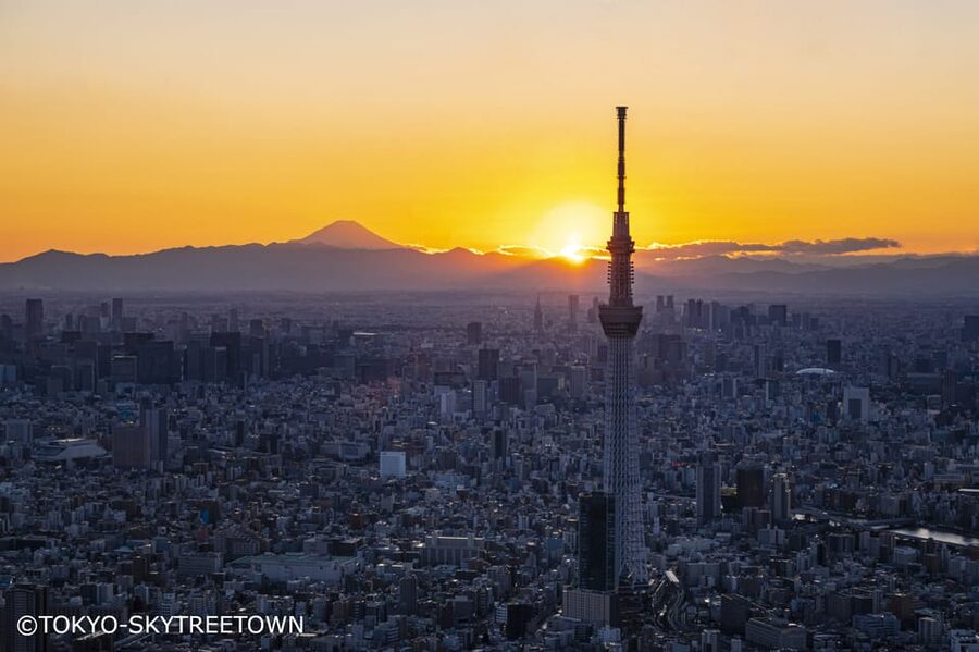 Tokyo: 1 Day Bus Tour with Meiji-Jingu,Odaiba,lunch&Skytree - How the day feels: a guided loop with built-in pacing