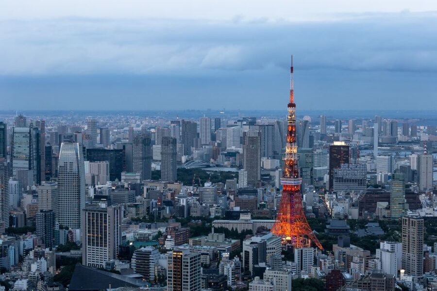 Tokyo: 1-Day Private Customizable Tour by Car - Key things I’d zoom in on