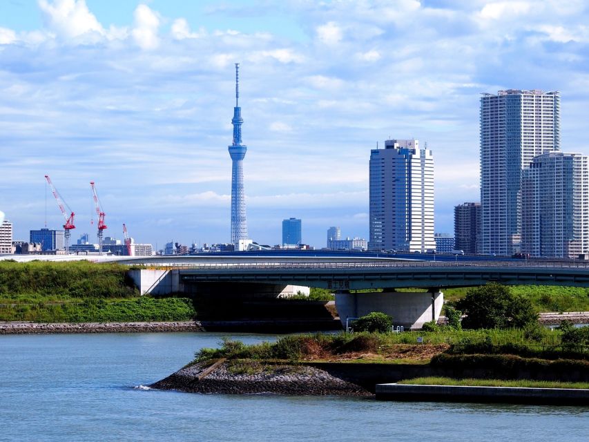 Tokyo: 1-Day Private Customizable Tour by Car - Tokyo Skytree: one hour of height, if you plan tickets