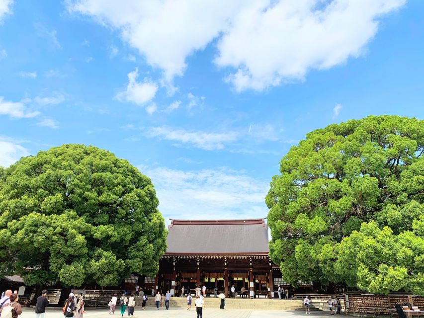 Tokyo: 1-Day Tokyo Private Tailor-made Tour - Meiji Jingu: Shrine Quiet Meets City Convenience