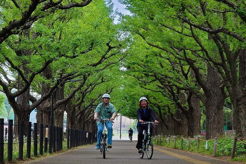 Tokyo: 3h Private E-bike Tours, Starting at Your Hotel - Key highlights to look for