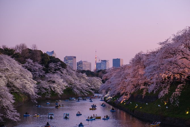 Tokyo 6 hours Customized Private Tour - Why this 6-hour Tokyo private tour feels worth it