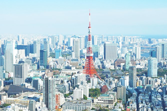 Tokyo 6 hours Customized Private Tour - Price and value: $633 for 6 hours is only “high” if you waste time