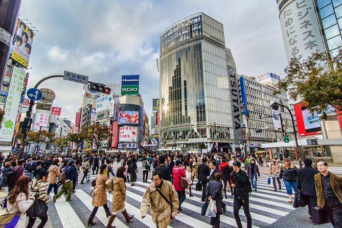 Tokyo 6hr Instagram Highlights Private Tour with Licensed Guide - Meeting your guide on foot, and customizing your 3 to 4 stops