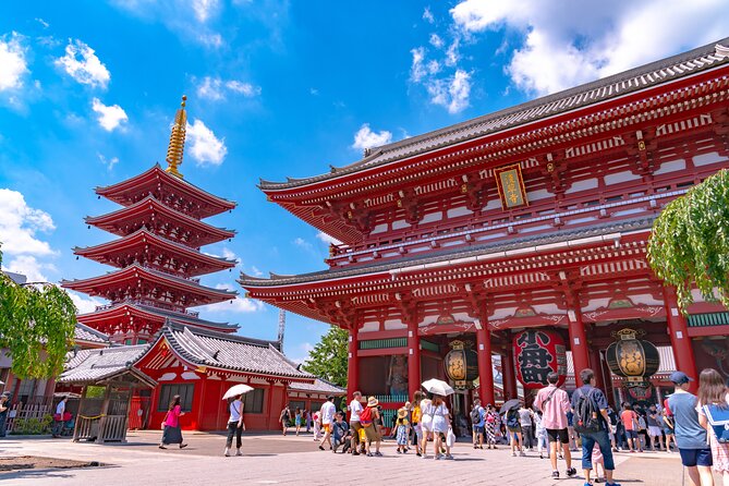 Tokyo 6hr Instagram Highlights Private Tour with Licensed Guide - Gardens and museums: when you want Tokyo that slows down