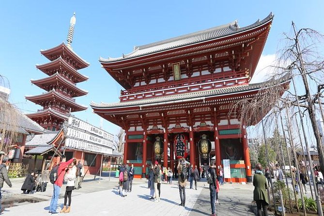 Tokyo 6hr Private Guided Tour & Japanese Sweets Making Experience - Meiji Jingu and Imperial Palace grounds: sacred calm next to major transit